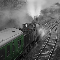 Buy canvas prints of Ex LSWR  Drummond T9 4-4-0 class locomotive number by Philip Enticknap