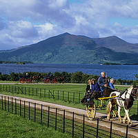 Buy canvas prints of Jaunting Cart, County Kerry, Ireland  by Philip Enticknap