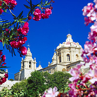 Buy canvas prints of Cathedral of St Paul, Mdina Malta. by Philip Enticknap