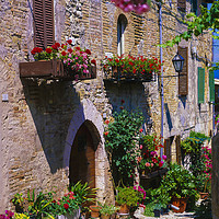 Buy canvas prints of MONTEFALCO,UMBRIA,ITALY by Philip Enticknap