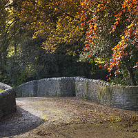Buy canvas prints of Bridge in Autumn by Philip Enticknap