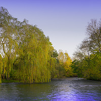 Buy canvas prints of  River Wye at Ashford in the Water,Derbyshire, by Philip Enticknap