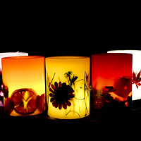 Buy canvas prints of Colourful Christmas Candles by Philip Enticknap