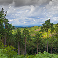 Buy canvas prints of The Devil's Punchbowl ,Hindhead ,Surrey  by Philip Enticknap