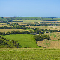 Buy canvas prints of Butser Hill ,Hampshire  by Philip Enticknap