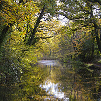 Buy canvas prints of Basingstoke Canal Autumn by Philip Enticknap