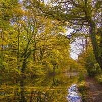 Buy canvas prints of Basingstoke Canal Autumn by Philip Enticknap