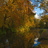Buy canvas prints of Basingstoke Canal in Autumn  by Philip Enticknap