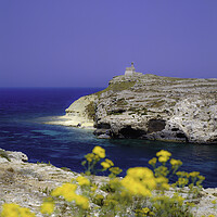 Buy canvas prints of St. Pauls Island,Malta. by Philip Enticknap
