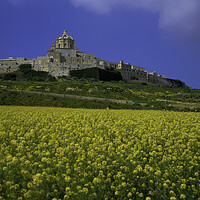 Buy canvas prints of Mdina , Malta  by Philip Enticknap