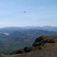 Buy canvas prints of  Flying free over Blencathra by Adam Taylor