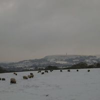 Buy canvas prints of  Snowy day in Lancashire by Adam Taylor