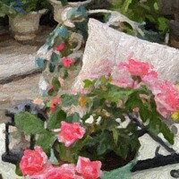 Buy canvas prints of Roses in the Cottage Garden by Zahra Majid