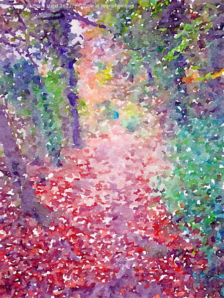 Painted in Waterlogue Picture Board by Zahra Majid