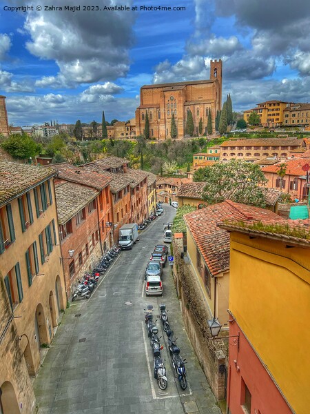 views from Sienna Italy Picture Board by Zahra Majid
