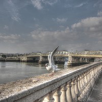 Buy canvas prints of Historic Rochester Bridge Photobombed  by Zahra Majid