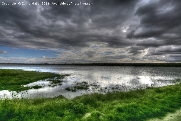 Dark Clouds reflecting in Marshes Picture Board by Zahra Majid