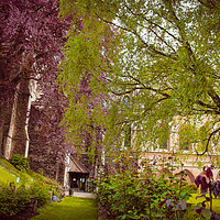 Buy canvas prints of Lilac and Green in Dickens Rochester by Zahra Majid