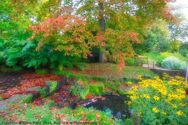 Dreamy Gardens in Kent Picture Board by Zahra Majid