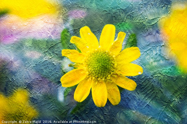 An Arty Yellow Beauty Picture Board by Zahra Majid