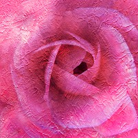 Buy canvas prints of Summer Rose Art by Zahra Majid