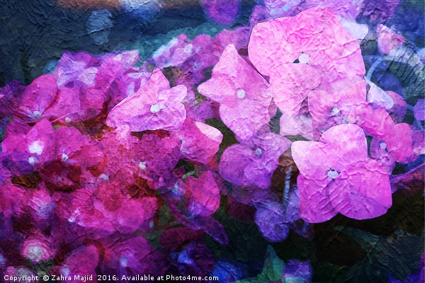 Purple Pink Fluid Flora Picture Board by Zahra Majid
