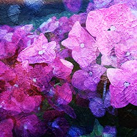 Buy canvas prints of Purple Pink Fluid Flora by Zahra Majid