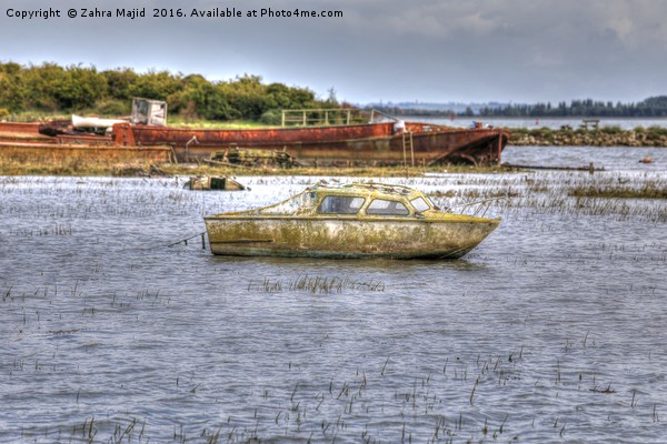 An Abandoned Boat near Horrid Hill in Kent Picture Board by Zahra Majid