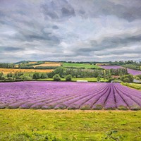 Buy canvas prints of Purple Brushstrokes by Zahra Majid