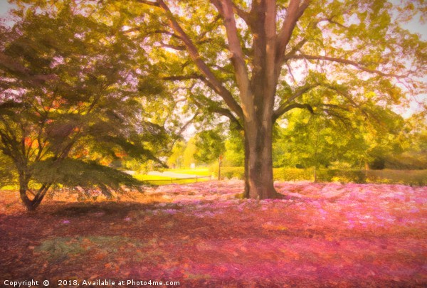 Pink Leaves in a Forest Picture Board by Zahra Majid