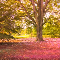 Buy canvas prints of Pink Leaves in a Forest by Zahra Majid