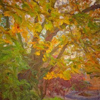 Buy canvas prints of Autumn Foliage Splash by Zahra Majid