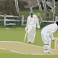 Buy canvas prints of Stylized White Lined Cricket Art by Zahra Majid