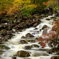 Buy canvas prints of River Rapids by Peter O'Reilly