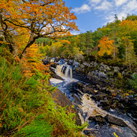 Buy canvas prints of Rogie Falls in Autumn by Peter O'Reilly