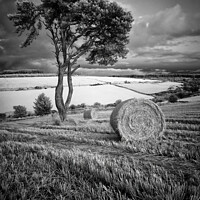 Buy canvas prints of After the Harvest by Peter O'Reilly