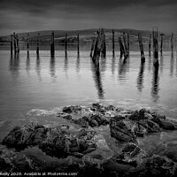 Buy canvas prints of The Old Pier, Salen by Peter O'Reilly
