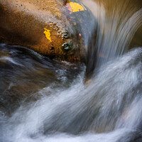 Buy canvas prints of River Flow, Zion National Park by Peter O'Reilly