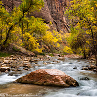Buy canvas prints of Virgin River, Zion National Park by Peter O'Reilly