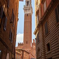 Buy canvas prints of Torre de Mangia, Siena, Italy by Peter O'Reilly