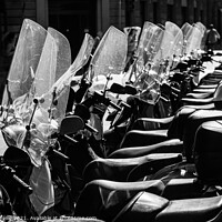 Buy canvas prints of Scooters in Florence by Peter O'Reilly
