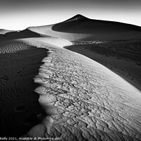 Buy canvas prints of Desert Light #1 by Peter O'Reilly