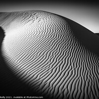 Buy canvas prints of Desert Light #3 by Peter O'Reilly
