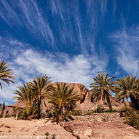 Buy canvas prints of Finnt Oasis, Morocco by Peter O'Reilly