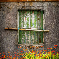Buy canvas prints of Window by Peter O'Reilly
