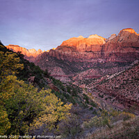 Buy canvas prints of Sunrise on the Great Streaked Wall and the Sentinel, Zion Nation by Peter O'Reilly