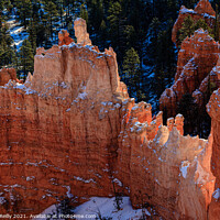 Buy canvas prints of Bryce Canyon Hoodoos by Peter O'Reilly