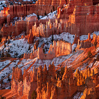 Buy canvas prints of Morning Light, Bryce Canyon by Peter O'Reilly