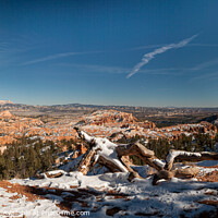 Buy canvas prints of Bryce Canyon Amphitheatre by Peter O'Reilly