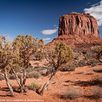 Buy canvas prints of Monument Valley #4 by Peter O'Reilly